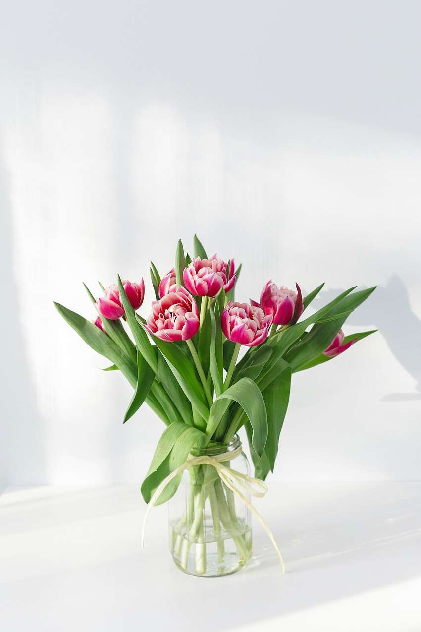 MA CANOPEE &amp; CO JARDINERIE URBAINE — Fleuriste · Rennes
